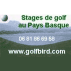 Logo Golf Bird
